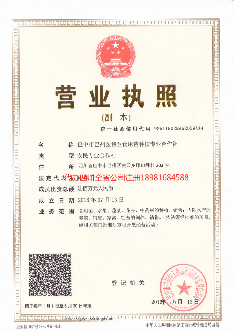 雷州雷州伟兰食用菌种植专业合作社